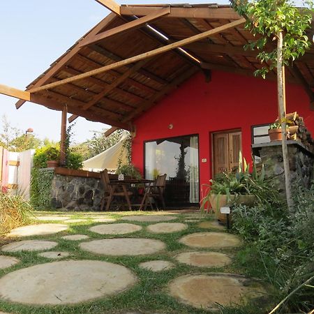 The Green And Red Cabins Ma'ale Gamla Exterior foto